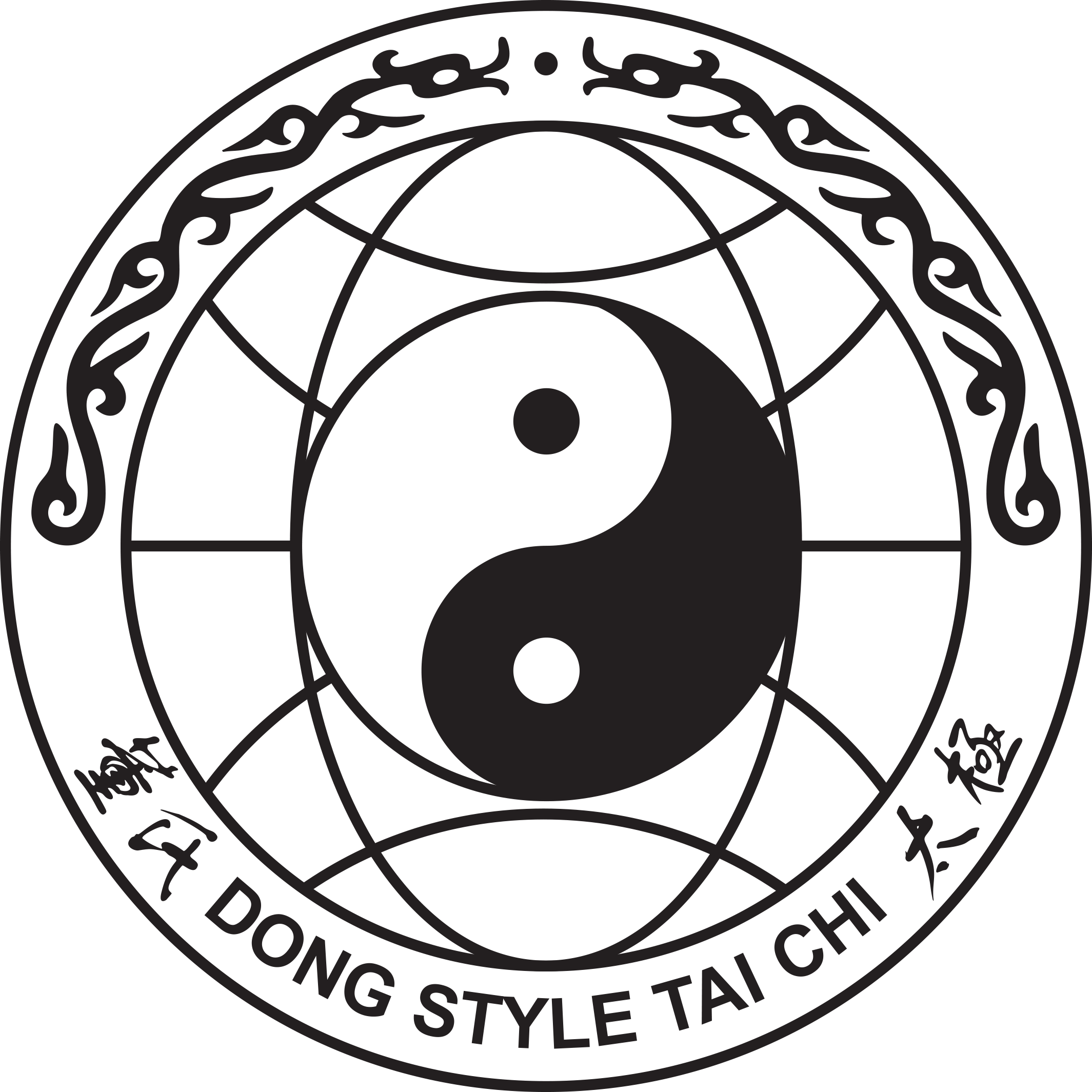 dong style taichi nb