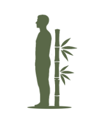 posture